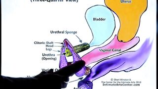 SQUIRTING TUTORIAL two !!! Mr PussyLicking