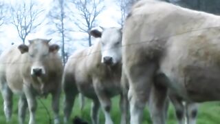 Wild French lady gets her throat filled on a farm